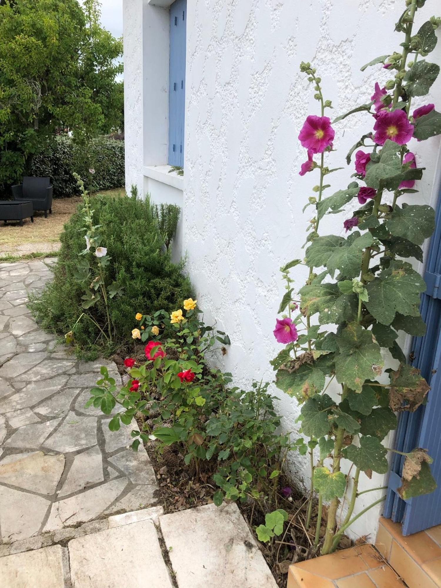 Almigeda Villa Les Mathes Buitenkant foto
